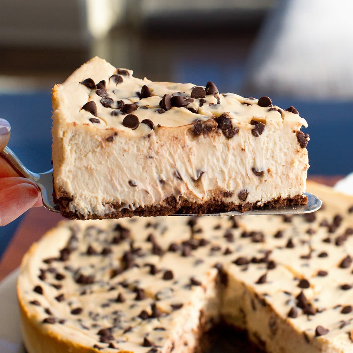 Şekersiz Protein Cheesecake